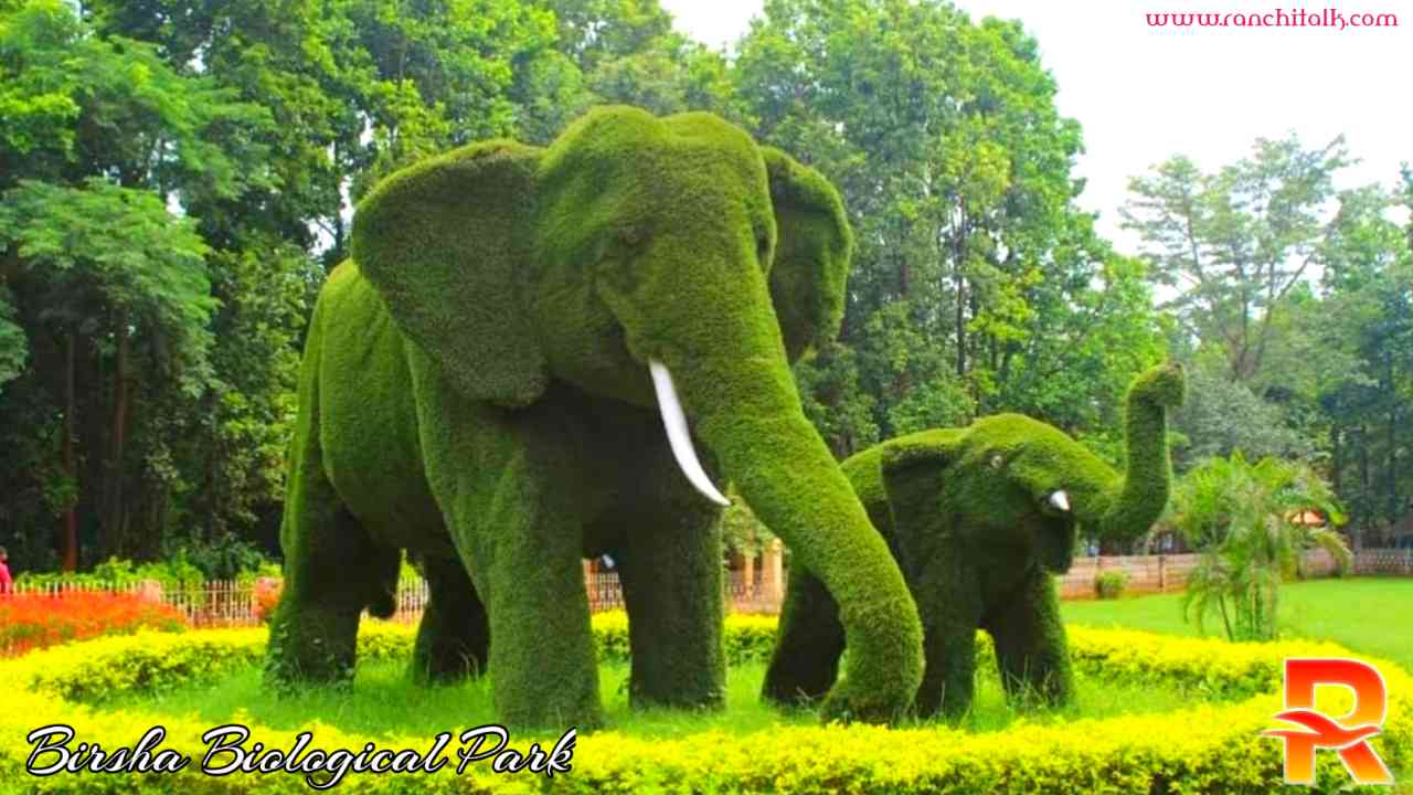 Bhagwan Birsa Biological Park | बिरसा जैविक उद्यान | Ormanjhi Zoo - Ranchi Ki Shaan