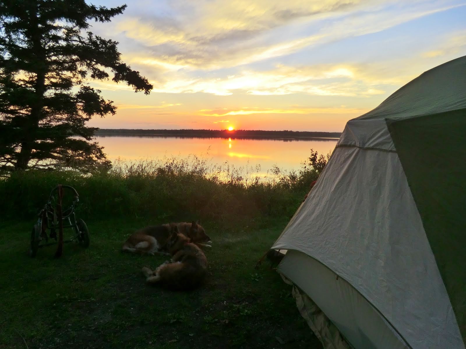 Leben and Erde enjoying one of their 213 sunsets at different camps (Riding Mountain, Manitoba)