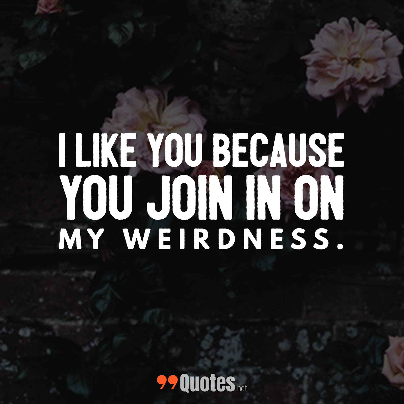 99 Cute Short Friendship Quotes You Will Love [with images]