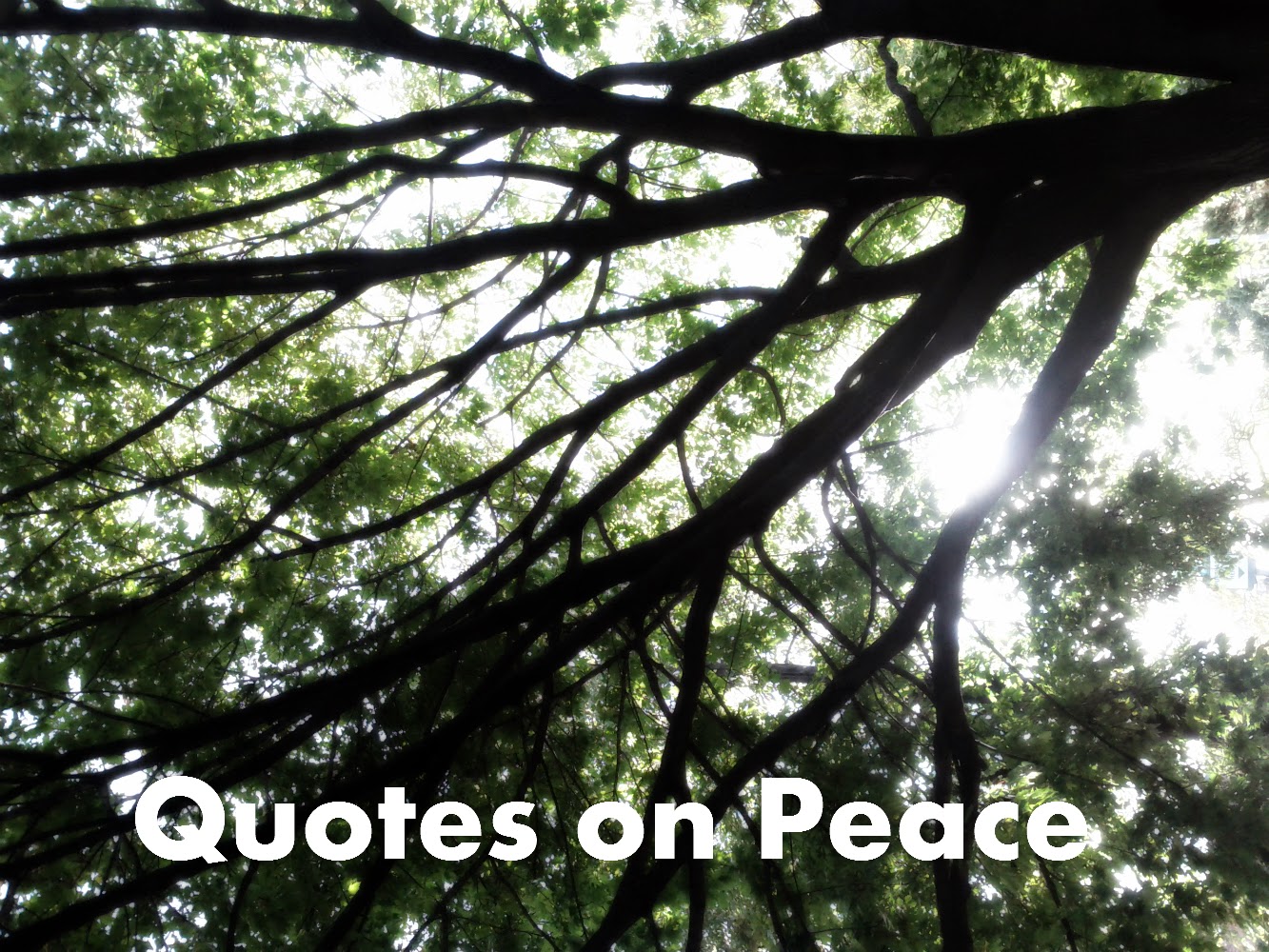 Quotes on Peace