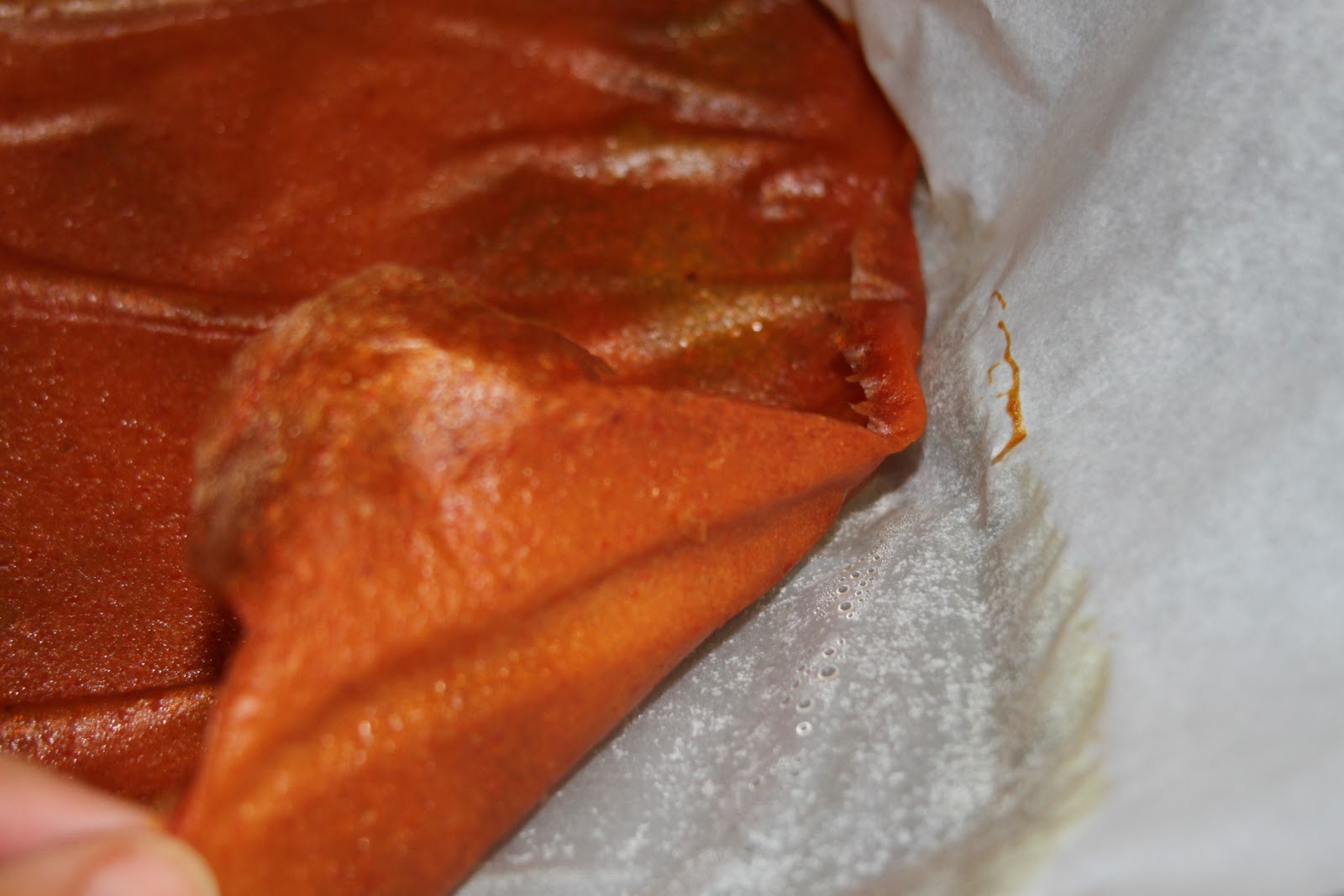 cooking out of the box persimmon fruit leather
