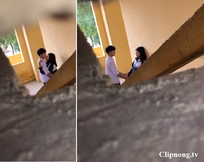 Quay l  n c   p     i h   c sinh t  nh c   m v   i nhau t   i tr     ng