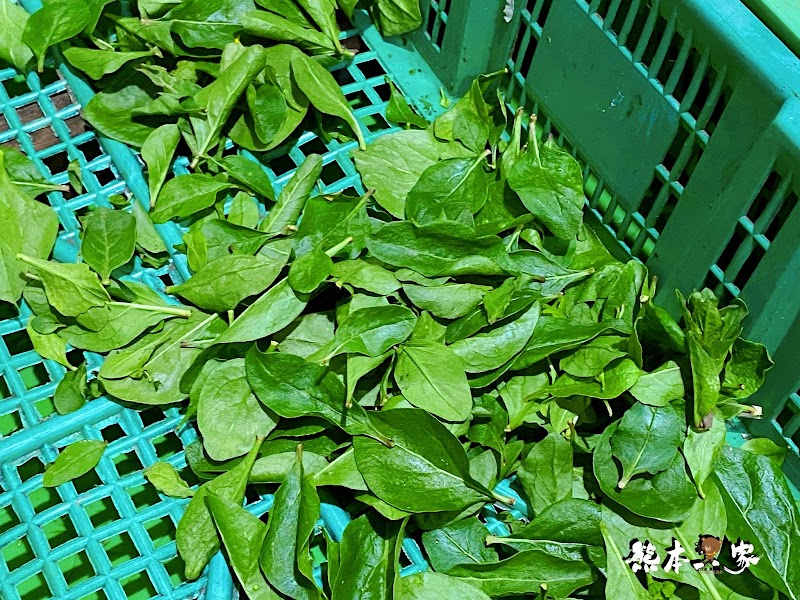 玉瀧谷野菜料理|陽明山竹子湖野菜餐廳~隱藏版饕客美食野味