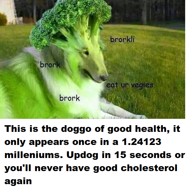 Brocolli Dog, once a millenium (give or take) Hilarious images daily