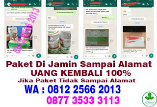 obat penis bengkak di apotik umum resep dokter