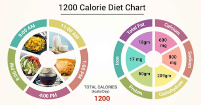 Understanding Calories in Weight Loss