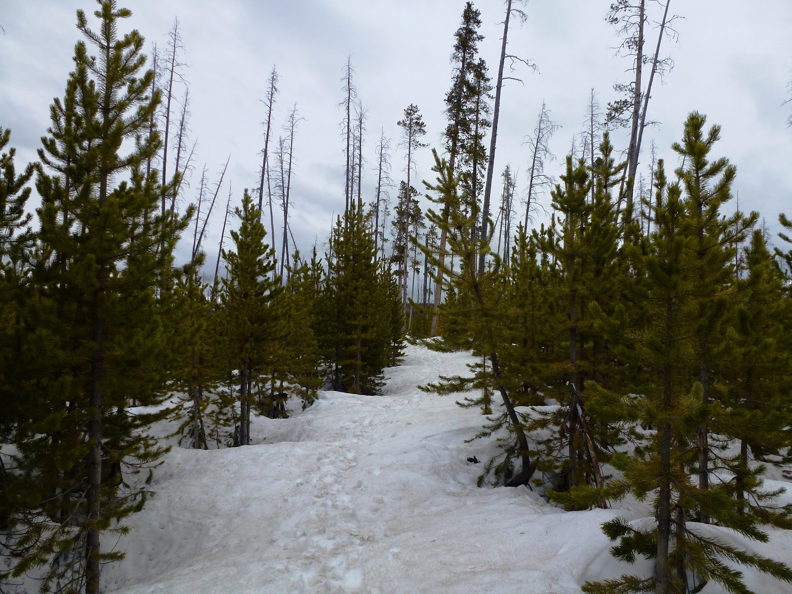 Ice Lake Hike (Yellowstone National Park)