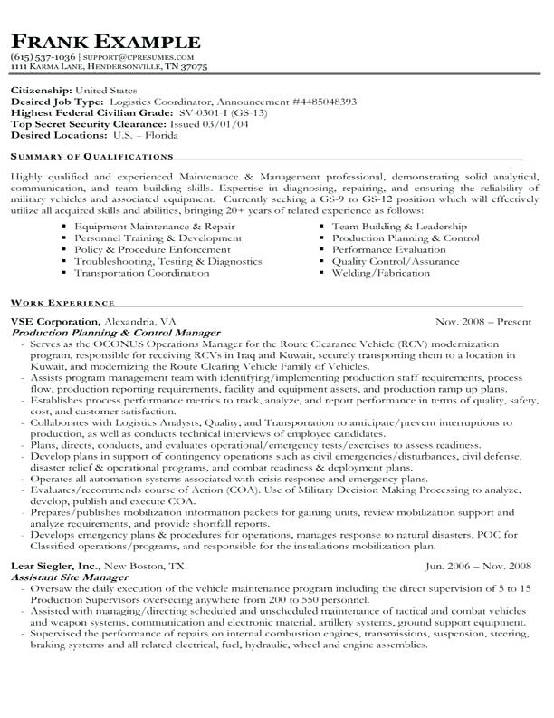 Best professional resume writing services government jobs