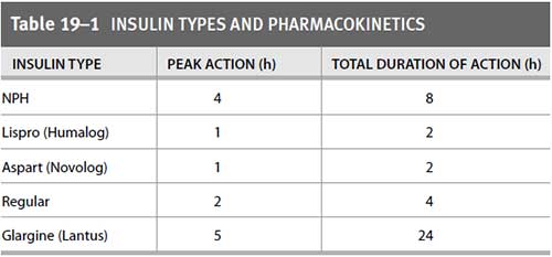 insulin types and pharmacokinetics