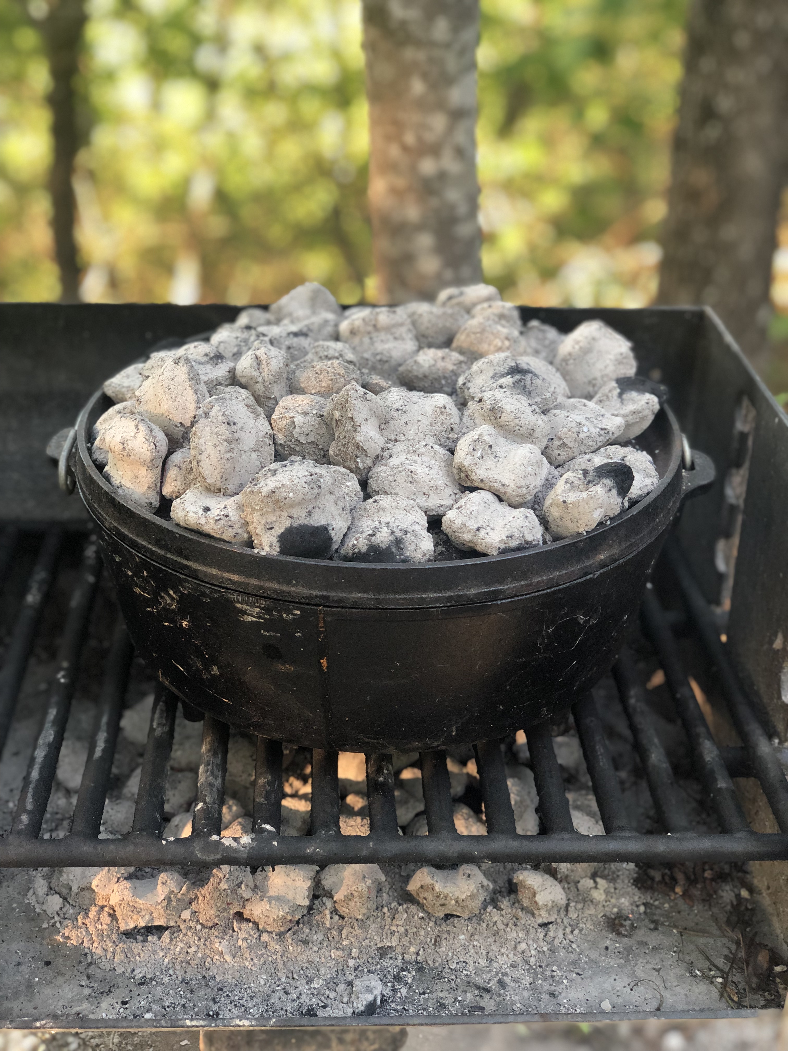 Camp Chef Dutch Oven Cast Iron Campfire Cook Stand in the Cooking