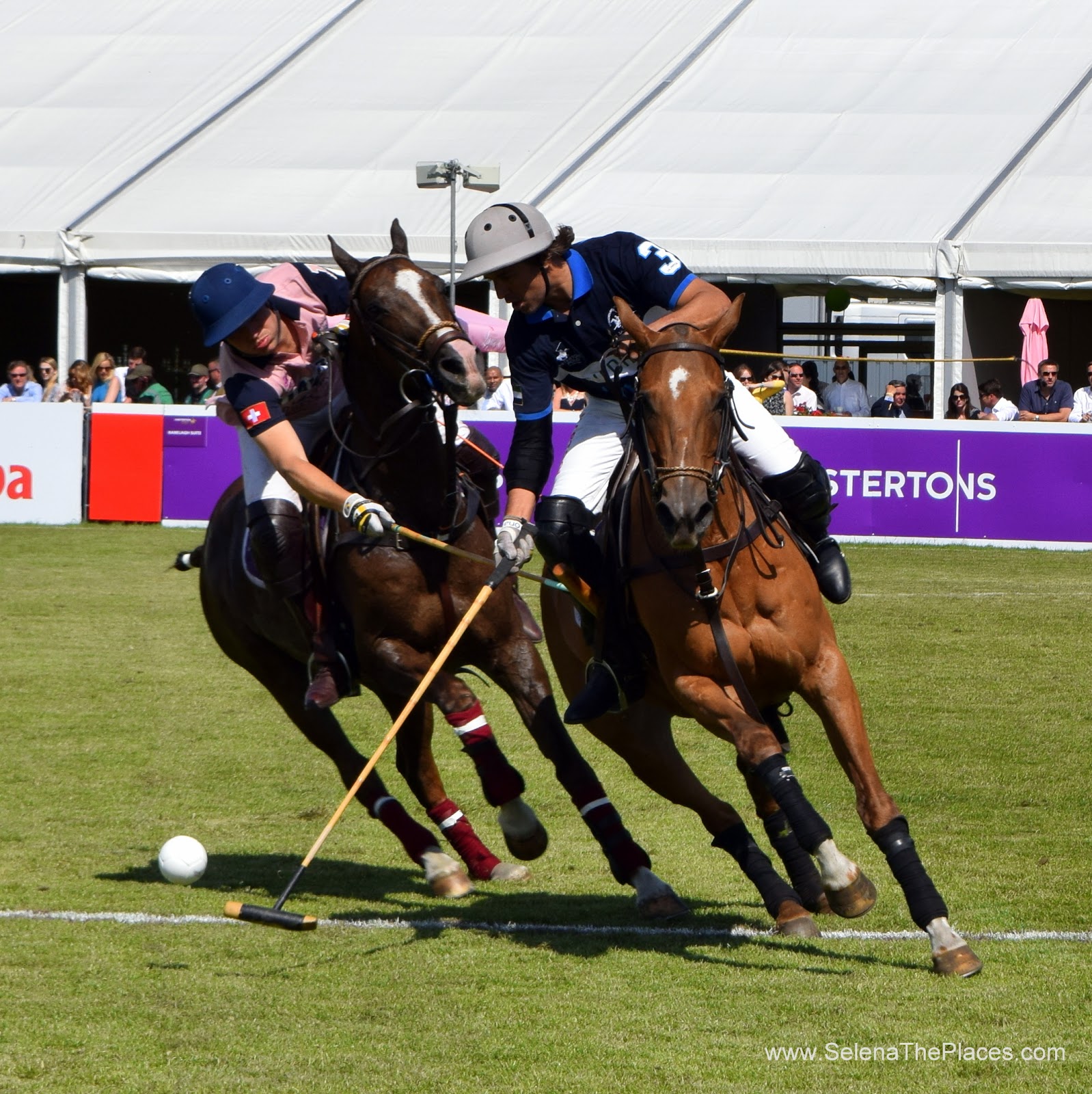 Chestertons Polo in the Park