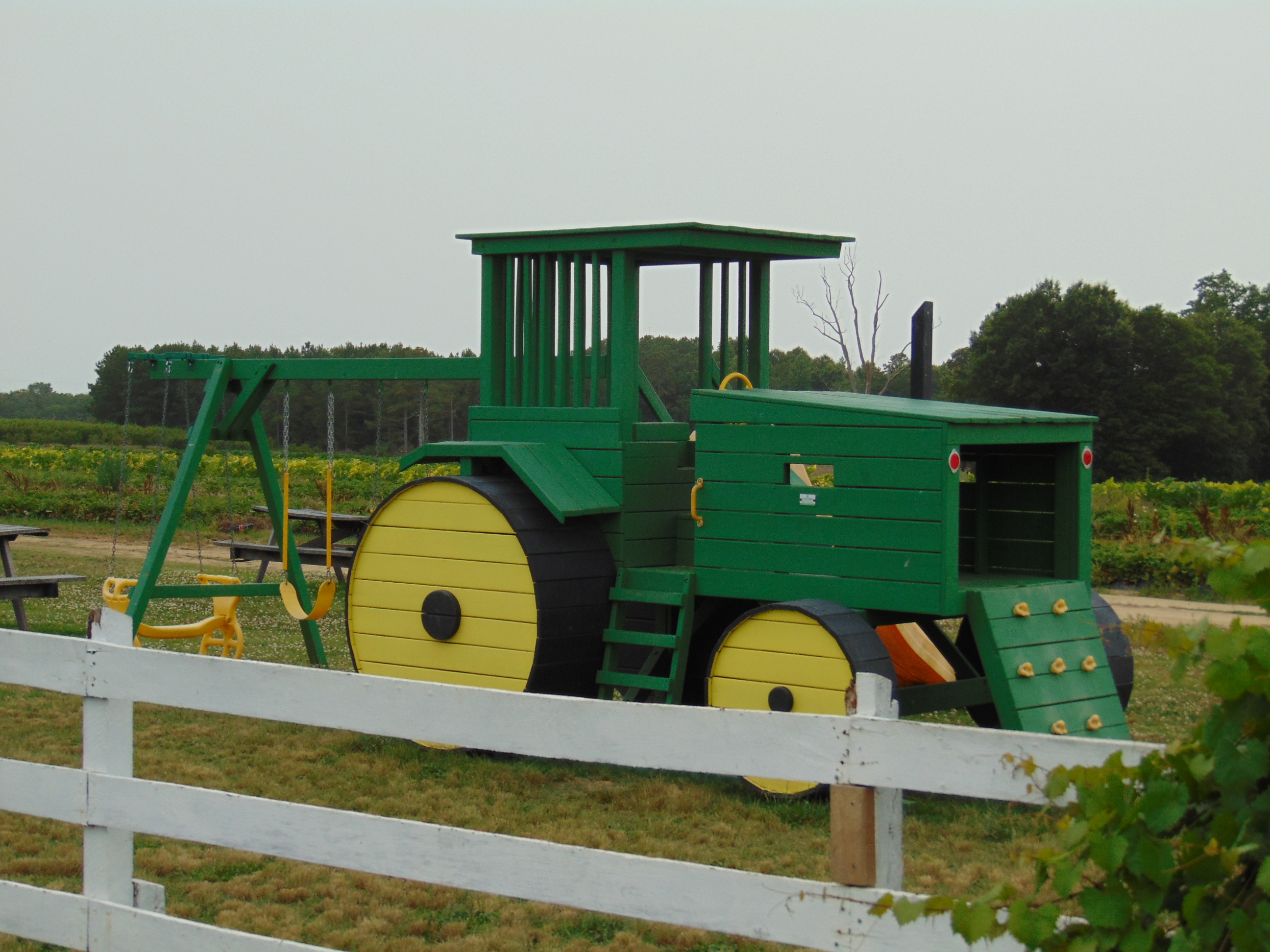 Southern Fried Common Sense & Stuff The Market At Cotton Hills Farms