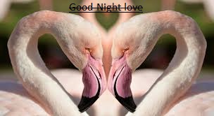 Good-night-images-with-love-good-night-images-love Good night images love, whatsapp good night images, download good night hd love images