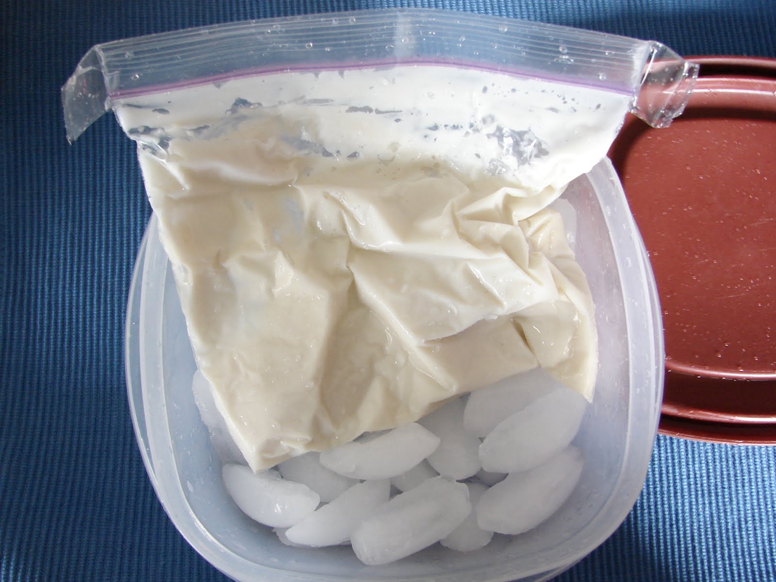 The Royal Cook Baggie Ice Cream Fun For the Kids!