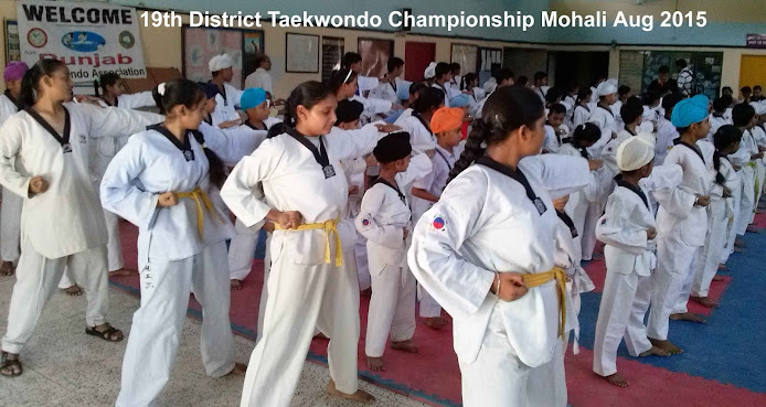 Snap by Master er. satpal singh Rehal during inauguration 19th District Taekwondo Championship Mohali