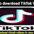 How To Download A TikTok Video On PC And Mobile Free