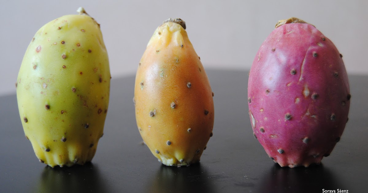 Gateaux En Espagne Qu Est Ce La Figue De Barbarie