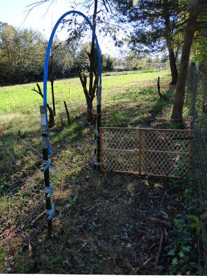 5 Acres & A Dream: Developing a Pasture Management Plan