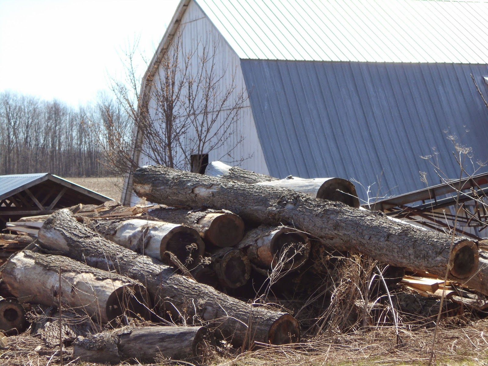 New York State of Mind OLD ORDER MENNONITE SAW MILL