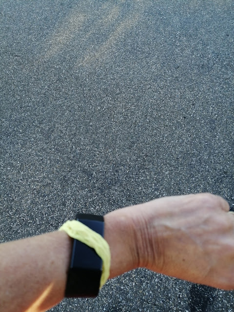 Fitbit Charge 3 Fitbit Charge 3