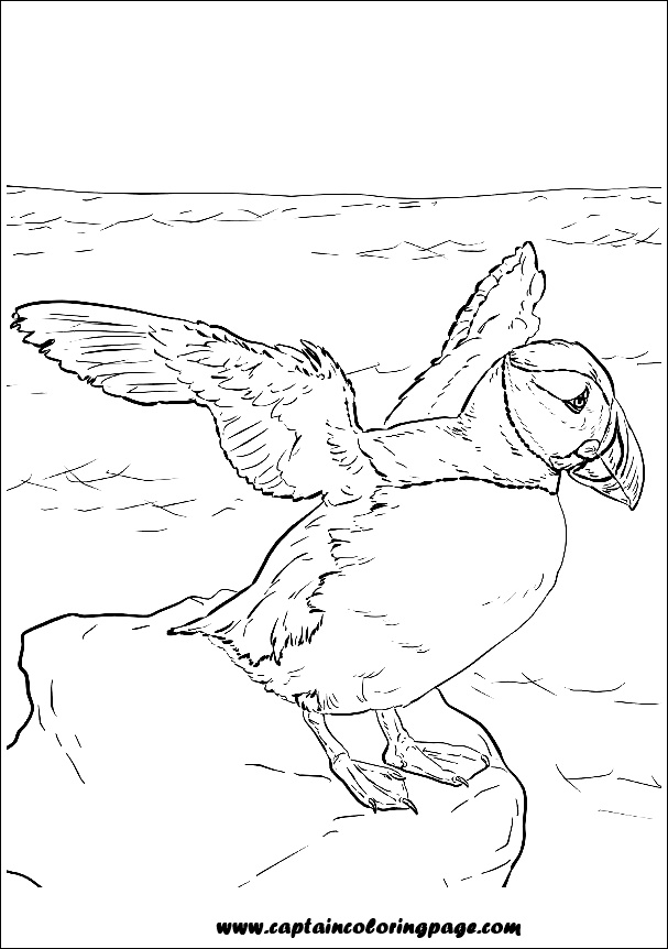 Coloring book pdf download