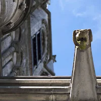 Pictures of Ireland: gargoyle at St. Fin Barre's Cathedral