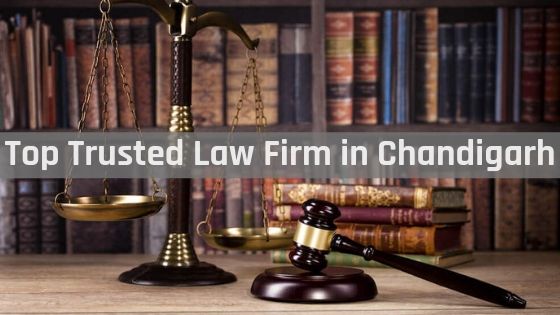 Law firm in Chandigarh
