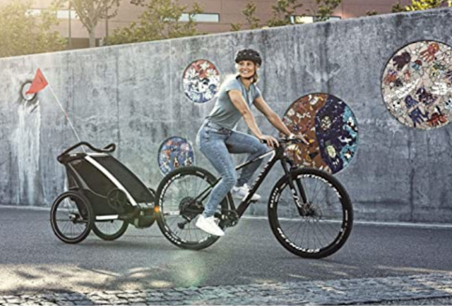 Top 9 Best Bike Trailers for Infant In 2023 (A Hands-on Review) With Comprehensive Buying Guide