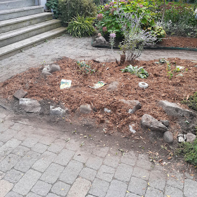 Toronto Front Garden Makeover in East York After by Paul Jung Gardening Services--a Toronto Organic Gardener