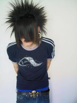 boys_emo_hairstyles_emo_hairstyle_for_boys+3.jpg