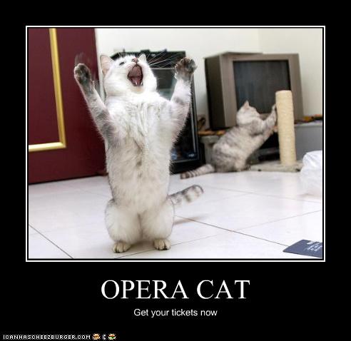 The Operacats: Other operacats (lol-cats)