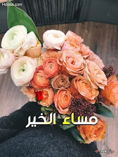 مساء الخير, بوستات مساء الخير, بوستات, مساء الخير