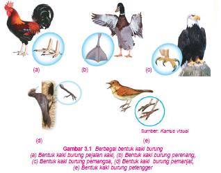 Materi Dan Contoh Soal Penyesuain Makhluk Hidup Untuk Melindungi Dirinya