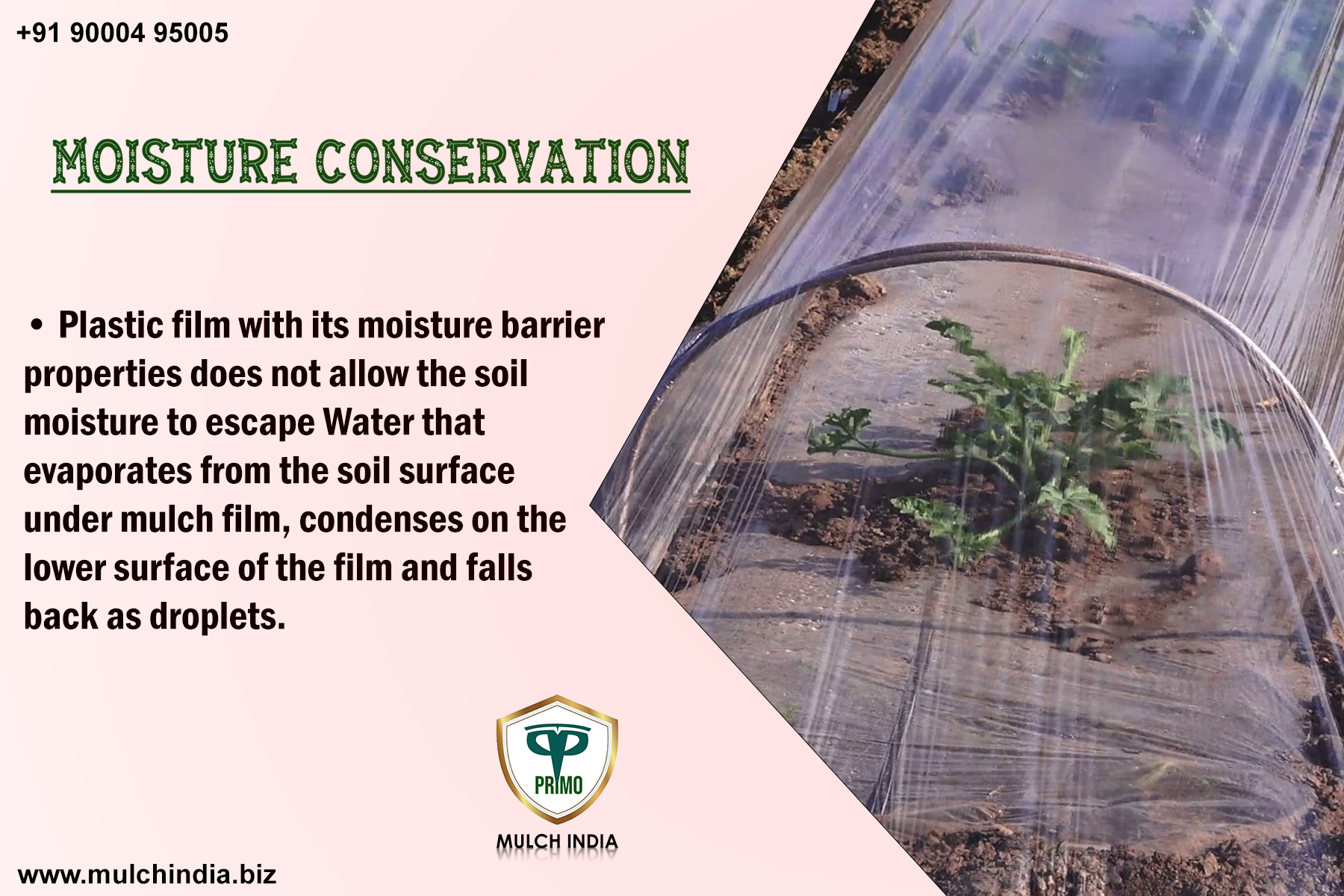 MulchIndia Moisture Conservation Mulch India Call+𝟵𝟭 𝟵𝟬𝟬𝟬𝟰𝟵𝟱𝟬𝟬𝟱 www
