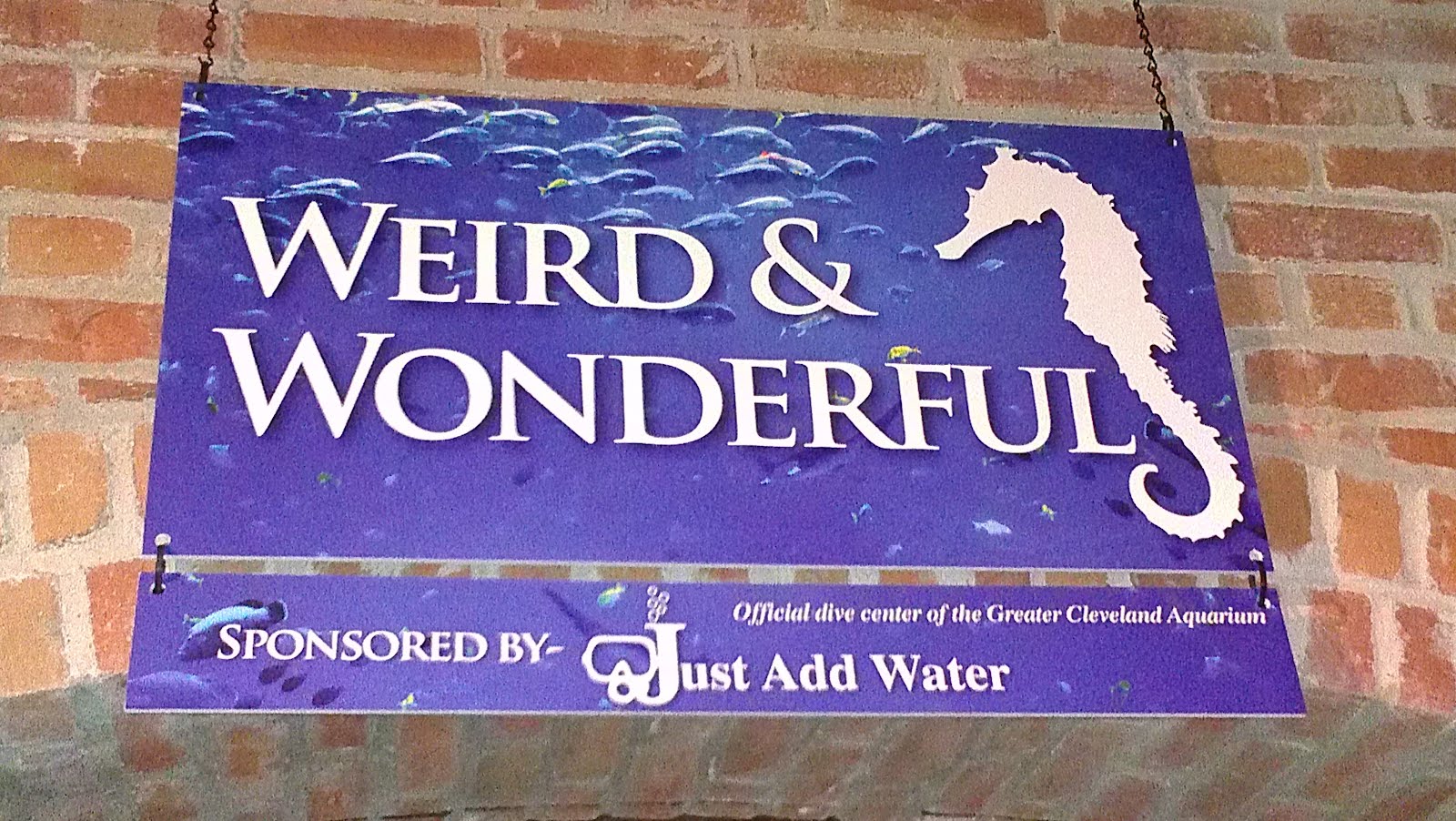 Just Add Water The Greater Cleveland Aquarium Is Now Open