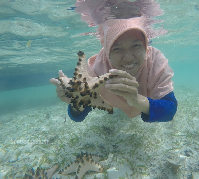 Menjelajahi bawah laut di Pulau Derawan