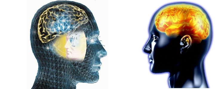 Como fica o cérebro de um usuário de drogas?