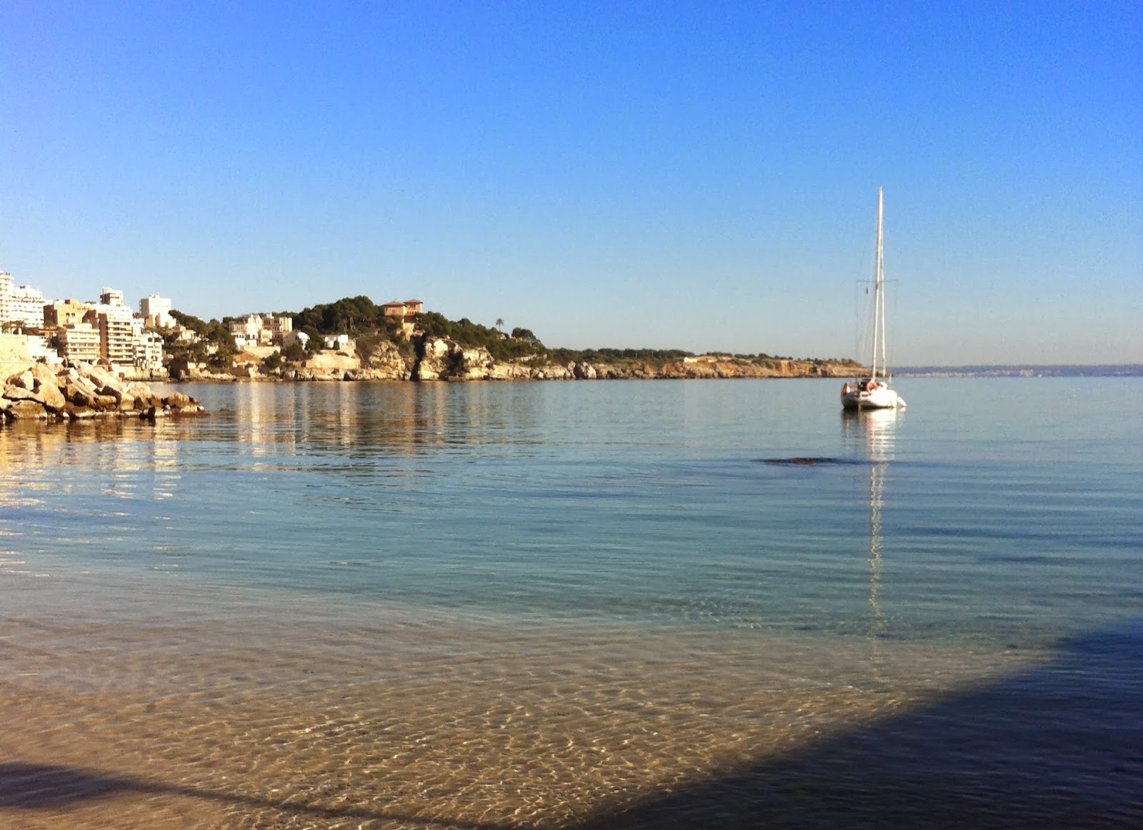 CHINCHIN MARIPOSAS PLAYA SAN AGUSTIN MALLORCA