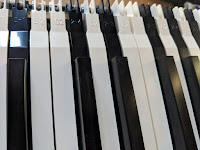 Roland PHA-4 standard black & white key weight