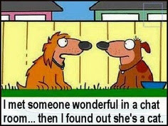 Dog Cartoon Collection ~ Silly Bunt Funny