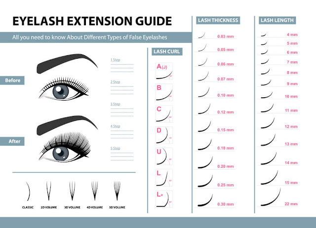 Eyelash Extensions- The whole lot You Want To Know To Grow to be a Qualified Lash Technician Eyelash extension chart by barbies beauty bits