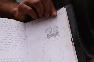 El extraño encuentro con seres extraterrestres que tuvieron cazadores en Taos. 20190906 203211 Brinkley%2Bsketch%2Bweb 20190906 203211 Brinkley%2Bsketch%2Bweb El extraño encuentro con seres extraterrestres que tuvieron cazadores en Taos.