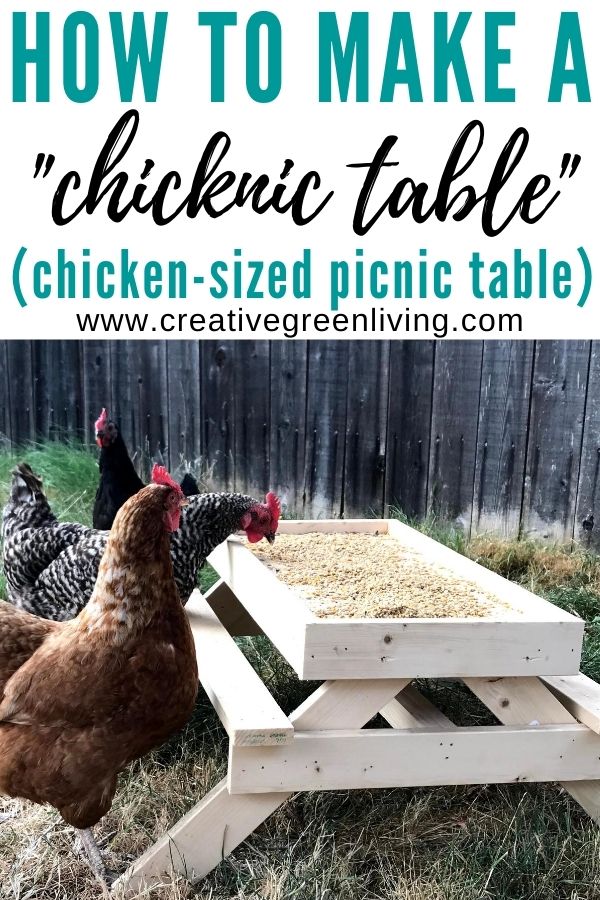 How to make a DIY chicken sized picnic table - AKA a Chicknic table (or chic nic table)! This is an adorable project to make a custom feeder for your backyard chickens that keeps their food up off the ground. It's one of those fun ideas that doubles as decor for your chicken run and keeps your chickens from getting bored. #ChickenKeeping #backyardchickens #chickenDIY