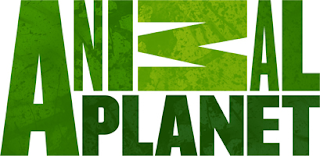 The Logo-Mat Blog: Wait a second...