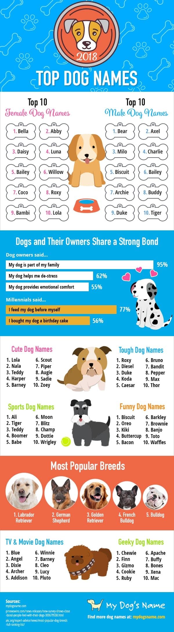 Top Dog Names of 2019 #infographic
