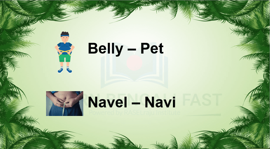 Learn 89 Human Body Parts Name in Bengali ( Including Video & Pictures )