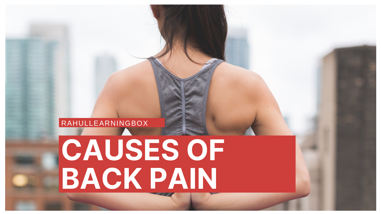 Causes of back Pain