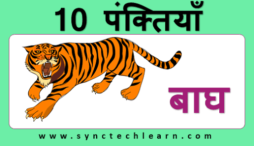 10 lines on tiger in hindi for class 3 - Few lines about Tiger✓