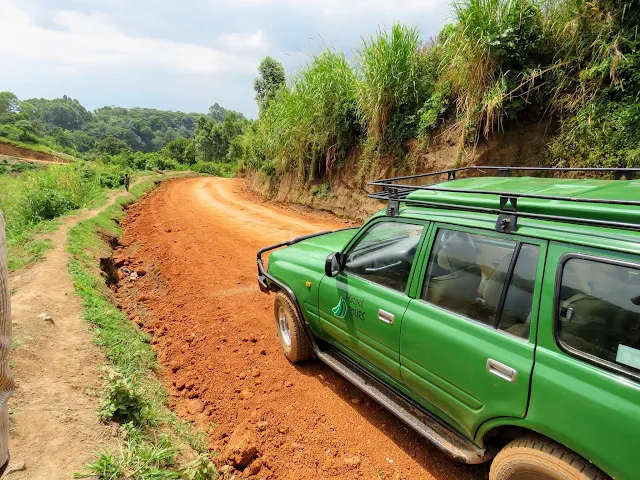 On safari with Matoke Tours in Uganda