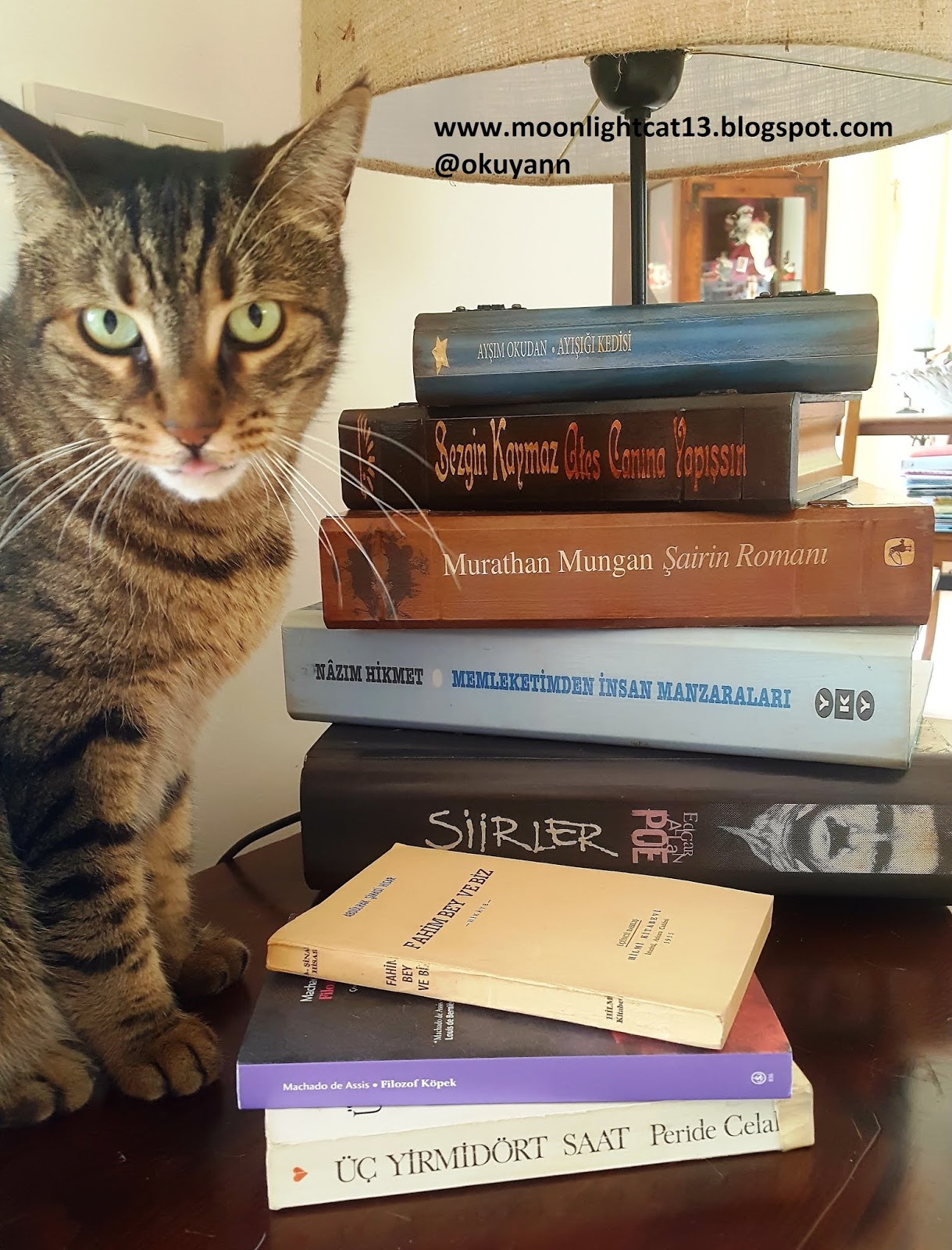 Nadir Kitap Aradiginiz Kitabin Adresi Ikinci El Kitap Yeni Kitap Dergi Efemera